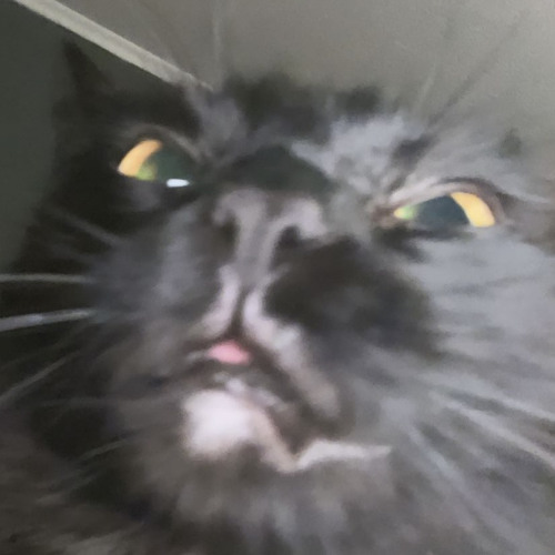 Denzel Curry - Ricky x Subtronics - Gyroscope