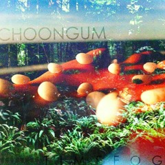 Choongum - Meteor Baths (Static Noise Bird Remix)