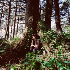 Haley Heynderickx - Foxglove