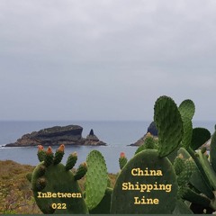 # 022 - China Shipping Line (HD1A)