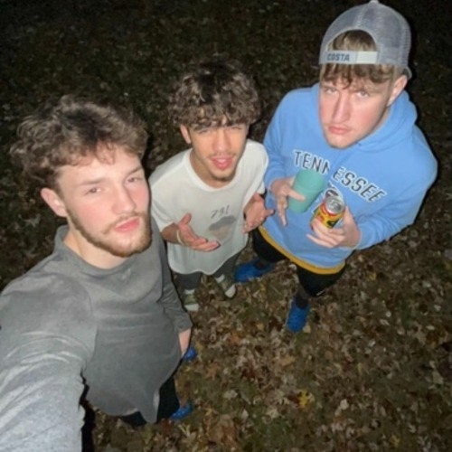 Stream The Green Beans Listen to Return Of TheGreen Beans playlist