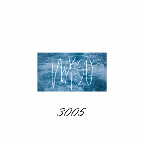 3005