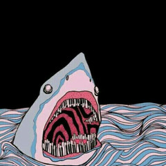 MELODIC OF SHARK 003