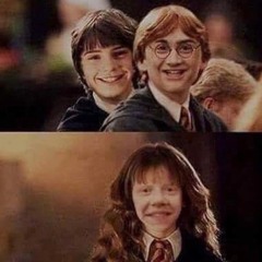 Harry Pottah