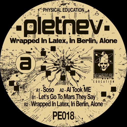 PREMIERE⚡️Pletnev - AI Took Me [Physical Education]
