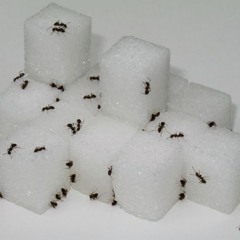 stuck in the rain + Deth Coni (demo) march 2021