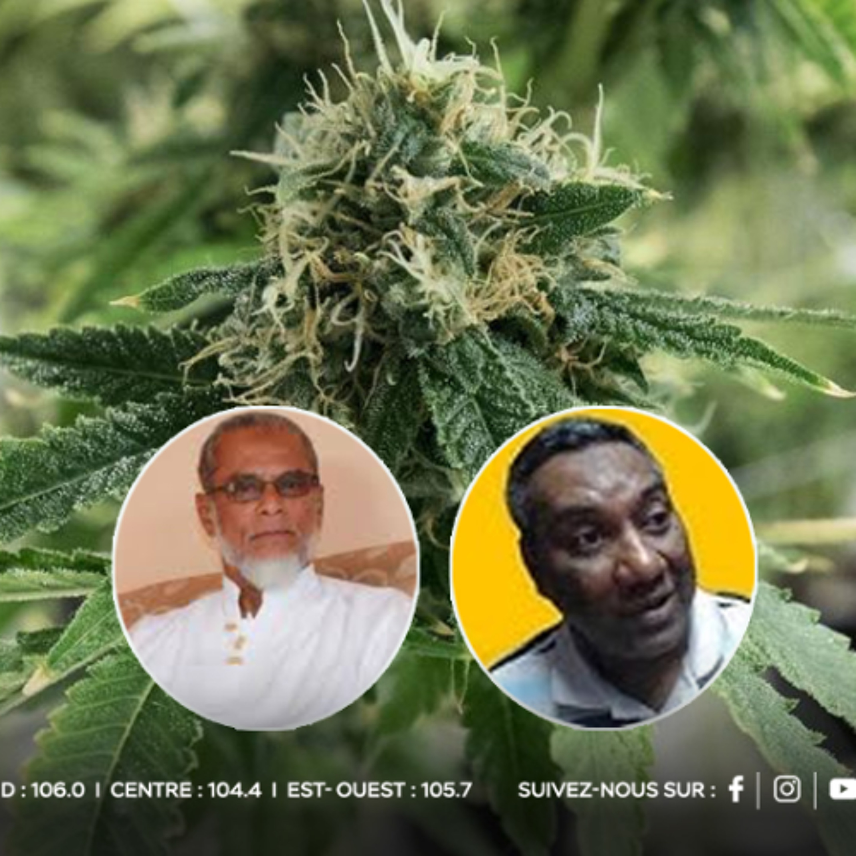 National Drug Control Act : la dépénalisation du cannabis au cœur des débats