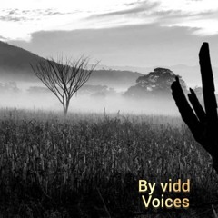 voices