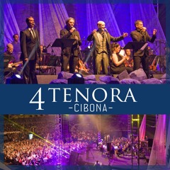 Mirno spavaj, ružo moja (Live)