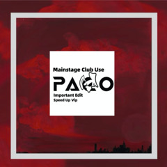 Doja Cat - Paint The Town Red (PACO VIP）