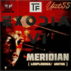 241123 MERIDIAN - EXODIA VI