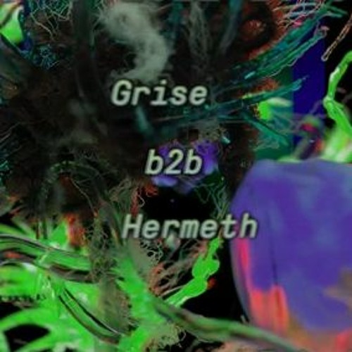Grise b2b Hermeth - Rhizom Sprouts 2021