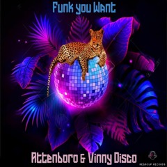 Attenboro & Vinny Disco - Funk You Want