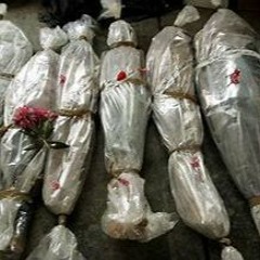 wrapped in plastic