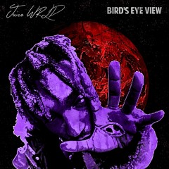 Birds Eye View - VeXus Remix