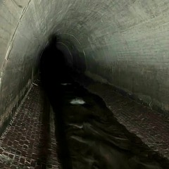 Spiraling Leaves - Extended