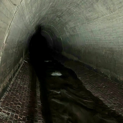 Spiraling Leaves - Extended