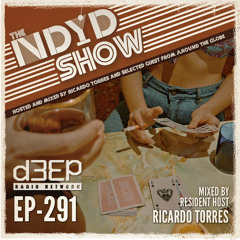 The NDYD Radio Show EP291