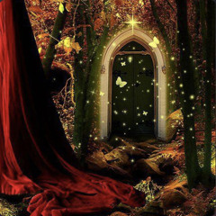 Dreamplugg+