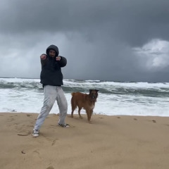 Jack-o'-lantern // Hardgroove, Trance & more // Halloween 2024