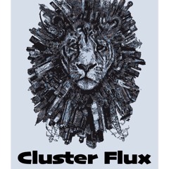 Cluster Flux