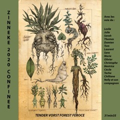 Zinnode Tender Vorst Forest Feroce Confinee