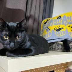 debut @midlyig #jerseyclub