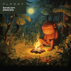 PLCDNT - Broken Pieces