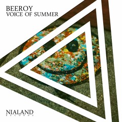 Beeroy - Voice Of Summer (Original Mix)