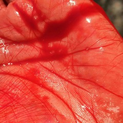 وسام داود(هجرك) ولك وسفة وهضيمة وعيب مثل الشمس فجة اتغيب(MP3_160K).mp3