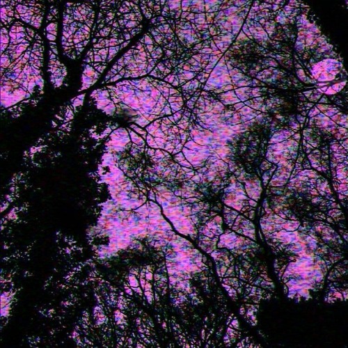 Solstice (prod.falak)