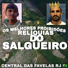 OS MELHORES PROIBIDÕES RELIQUIAS DO CPX DO SALGUEIRO 👑🇸🇾 (CENTRAL DAS FAVELAS RJ)