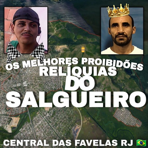OS MELHORES PROIBIDÕES RELIQUIAS DO CPX DO SALGUEIRO 👑🇸🇾 (CENTRAL DAS FAVELAS RJ)