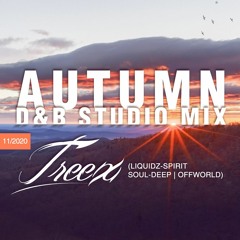 Autumn-Mix(Liquid/Rollin DNB)