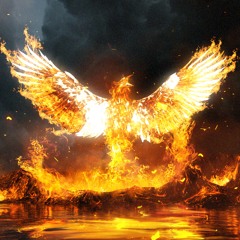 THAT'S WHAT I CALL LIT  VOL. 1