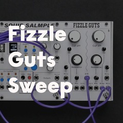 Fizzle Guts Sweep