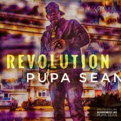 Revolution (produced by Pupa Sean x BushrodMusic)
