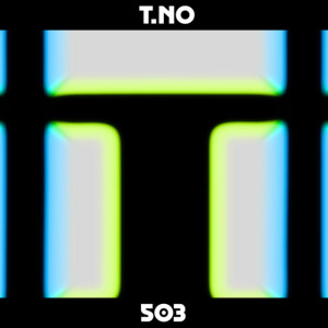 Dekmantel Mix 503 - T.NO