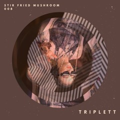 Stir Fried Mushroom 008 [the earthdance landing party]