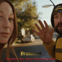 Goodbye You Sexy Motherfucker [Free Download]