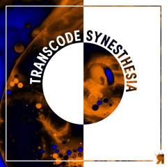 Transcode - Synesthesia