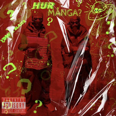Y11an x Blazer - Hur Många?