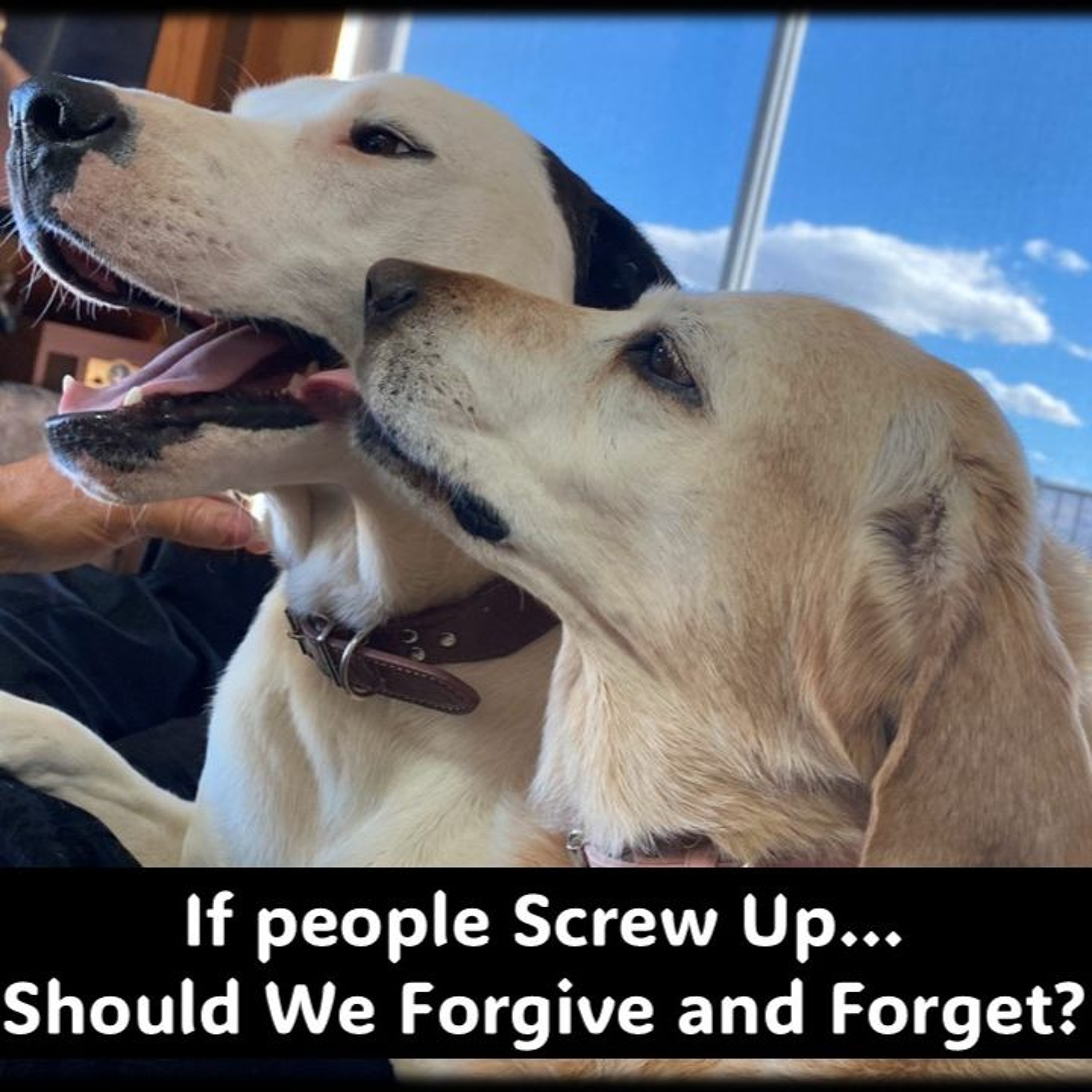 Screwed Up Or Screwed Over Should We Forgive And Forget...with Rowie McEvoy