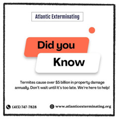 Did You Know