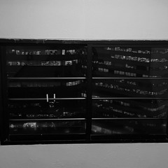 제자리걸음