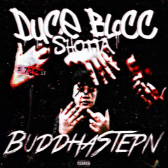 DuceBloccShotta ft Yung N$