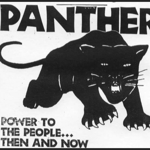 #25 A Force: The Black Panther Women