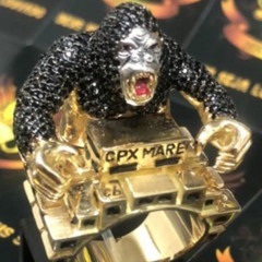 MEGA SEQUÊNCIA DE PROIBIDÃO NEURÓTICO PROS AMIGOS DO TERCEIRO COMANDO - CPX DA MARÉ, ILHA, CPX DE ISRAEL...🦍🐟🏝️ PROIBICAST ACELERADO 🥉🇮🇱 [ TCP 2023 ]