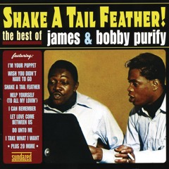 Shake a Tail Feather