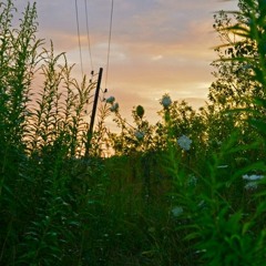 Music For Aimlessly Drifting Across The High Plains